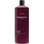 Sebastian Sebastian - Penetraitt - Conditioner 1Litre