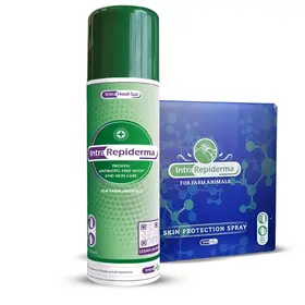 Repiderma Spray (12/Case)