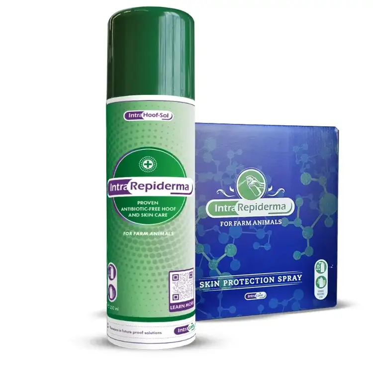 Repiderma Spray (12/Case)