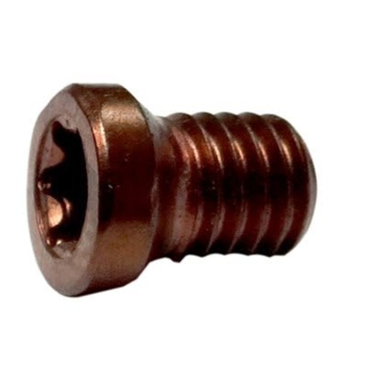 Rotoclip Blade Screws - Each