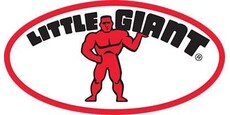 Little Giant