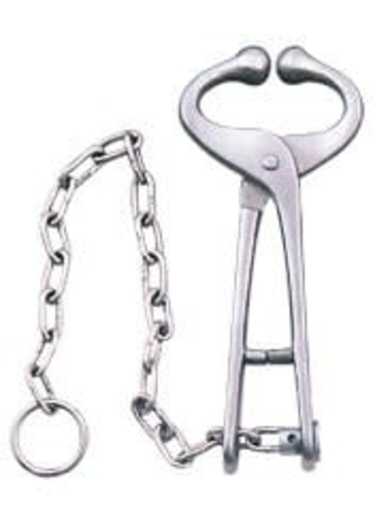 Bull Lead Deluxe with Chain & Snubber