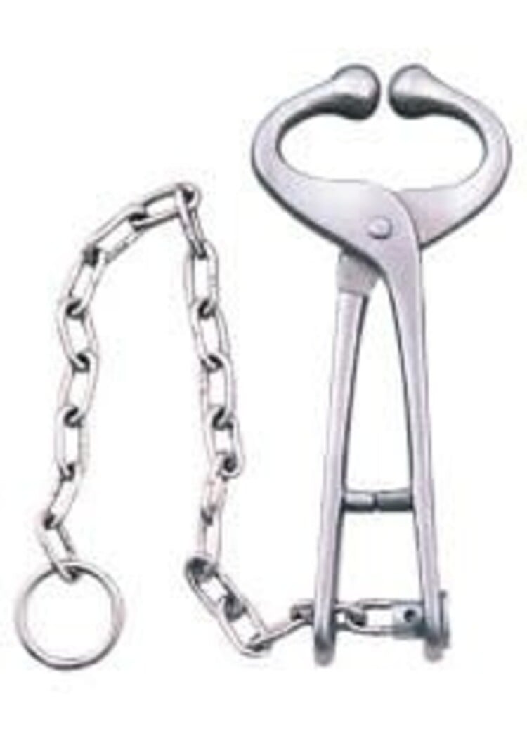 Neogen Lead - Bull - Deluxe - w/ Chain & Stub (Nose Plyer)