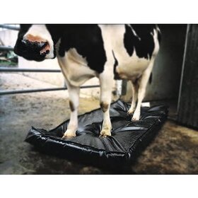 Ukal Elevage Pediluve Septicare Mat Bovine 180x90x10cm