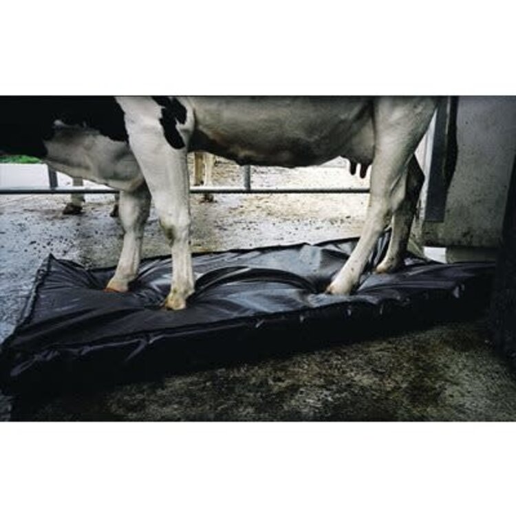 Ukal Elevage Pediluve Septicare Mat Bovine 180x90x10cm