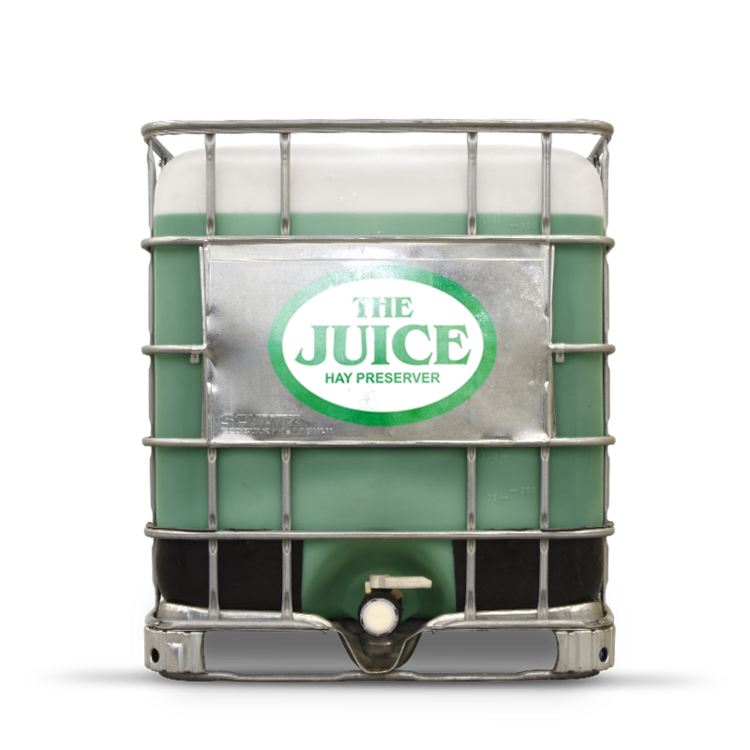 Hay Perverative - The Juice