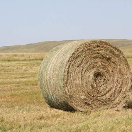 Round Bale