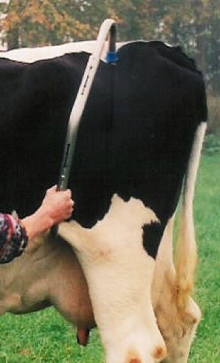 Vink Vink - Stainless Steel Anti-Kickbar (Kickstop)