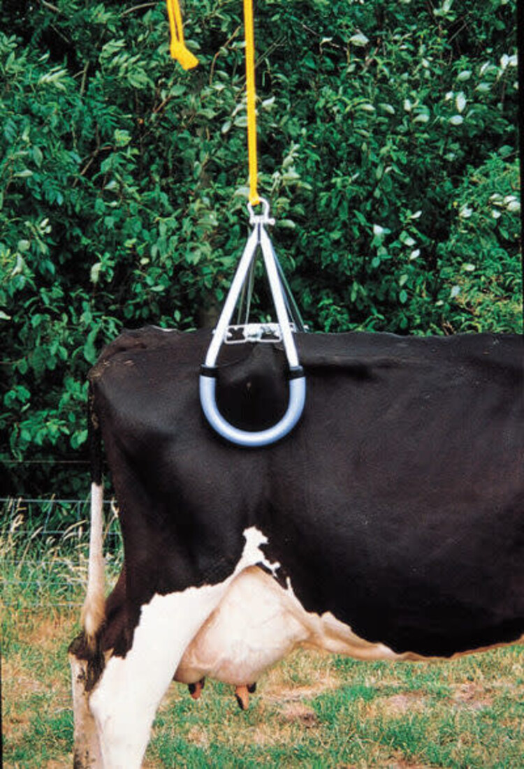 Vink Vink - Cow Lifter (Hip Lifter)