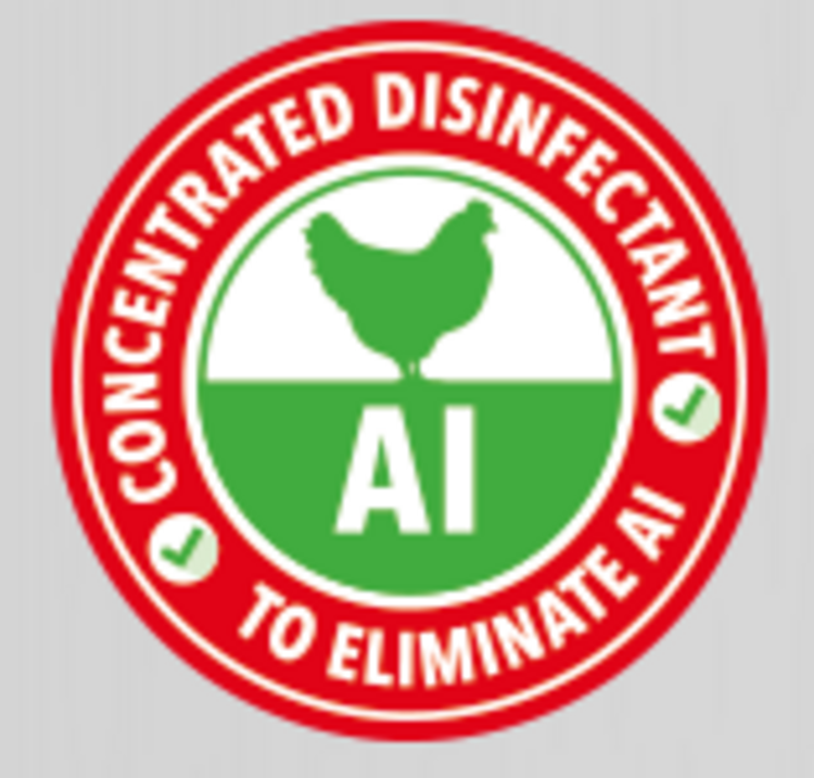 Intra Care - Multi-Des GA