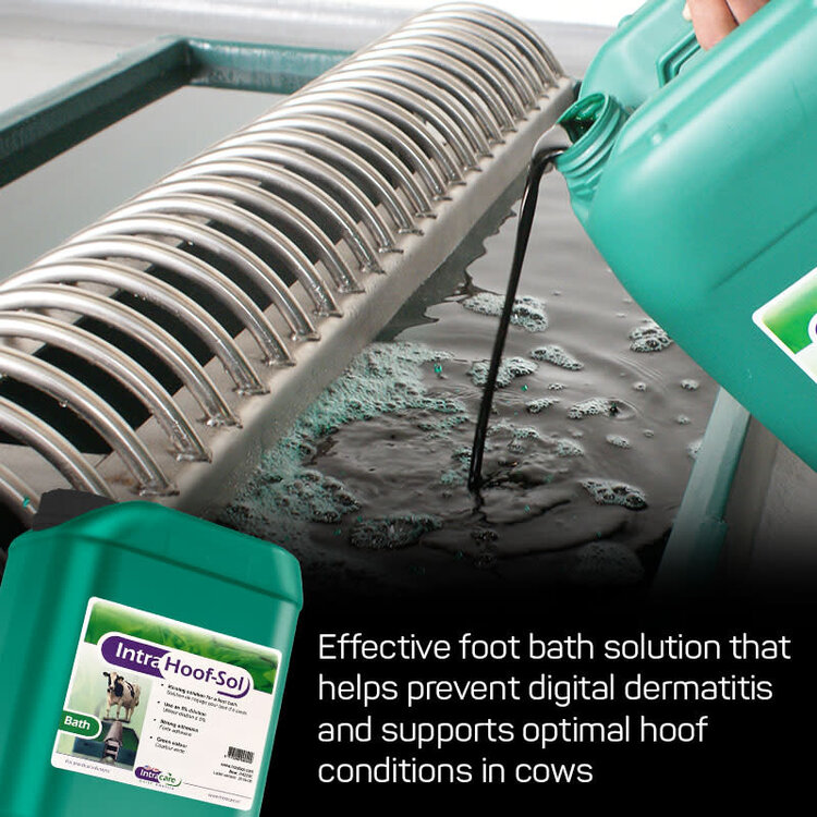 IntraCare Hoof Sol Bath - 20 L