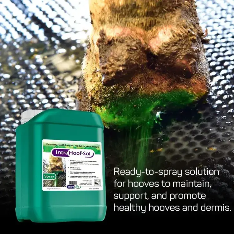 IntraCare Hoof Sol Spray (Liquid) - 20 L