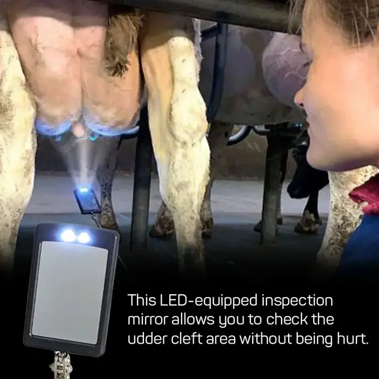 IntraCare Intra - Inspection Mirror