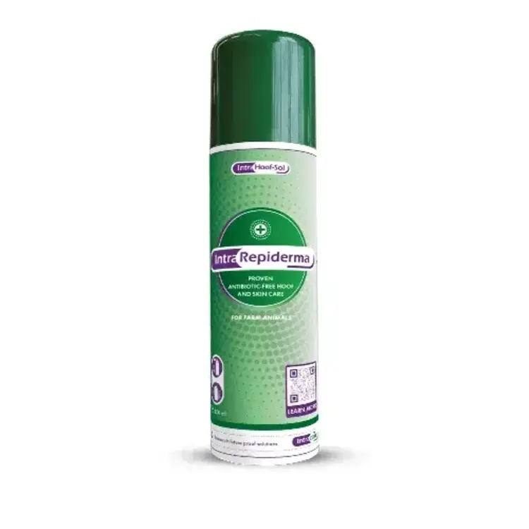 Repiderma Spray (12/Case)