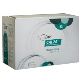 RumiLife Cal24 Calcium Bolus 48 Pk
