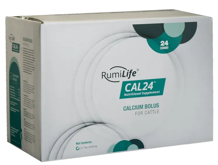 RumiLife Cal24 Calcium Bolus 48 Pk