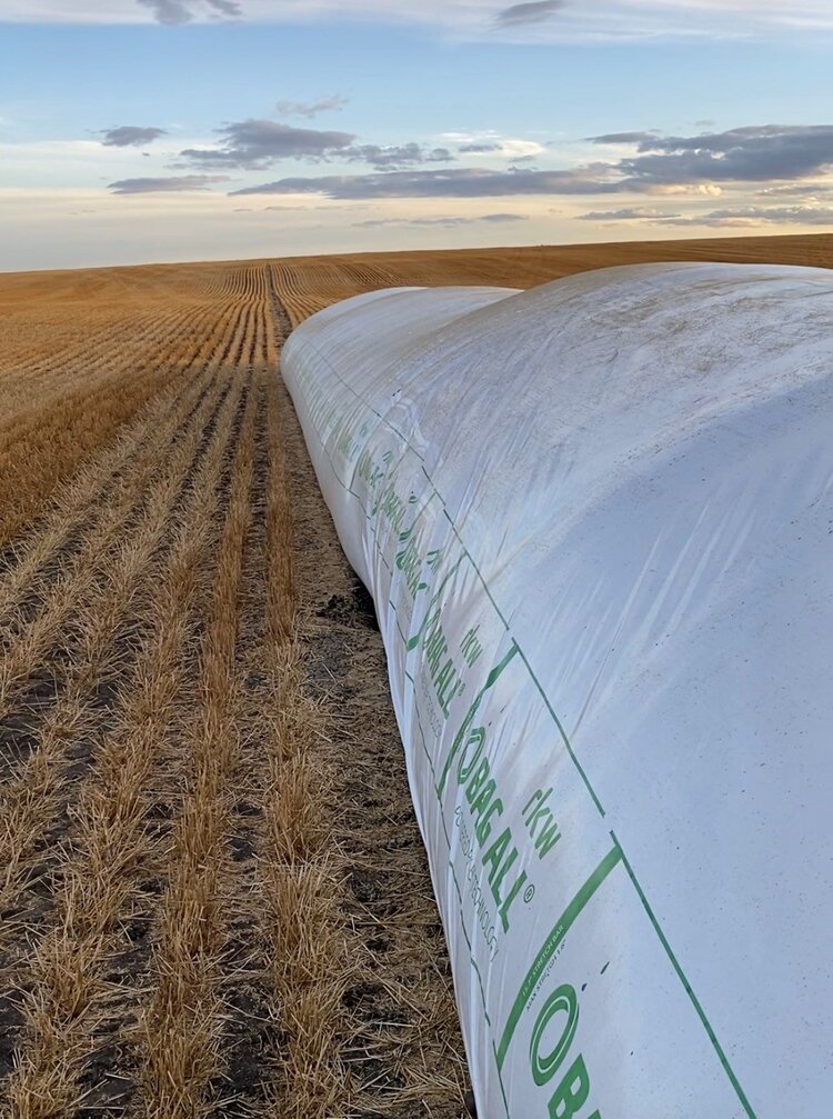 Grain/Silage Bags - 9mil - 10ft x (Length)