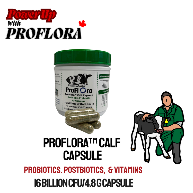 ProFlora Calf Capsule - 50Caps/Jar