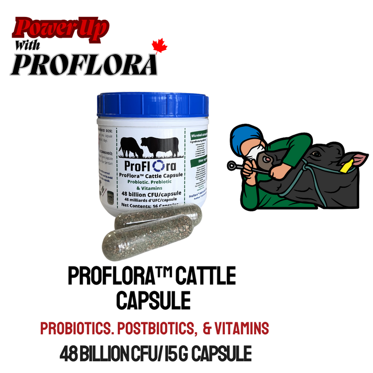 ProFlora Cattle Capsule - 16Caps/Jar