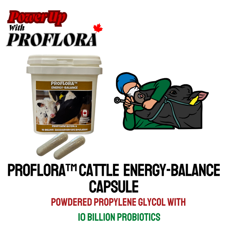 ProFlora Energy Balance Capsule - 40 caps/pail