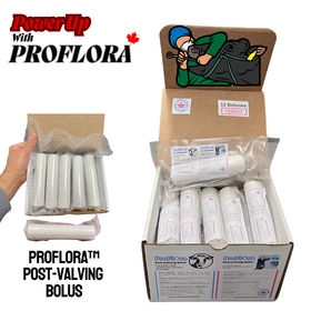 ProFlora Post Calving Calcium Bolus -