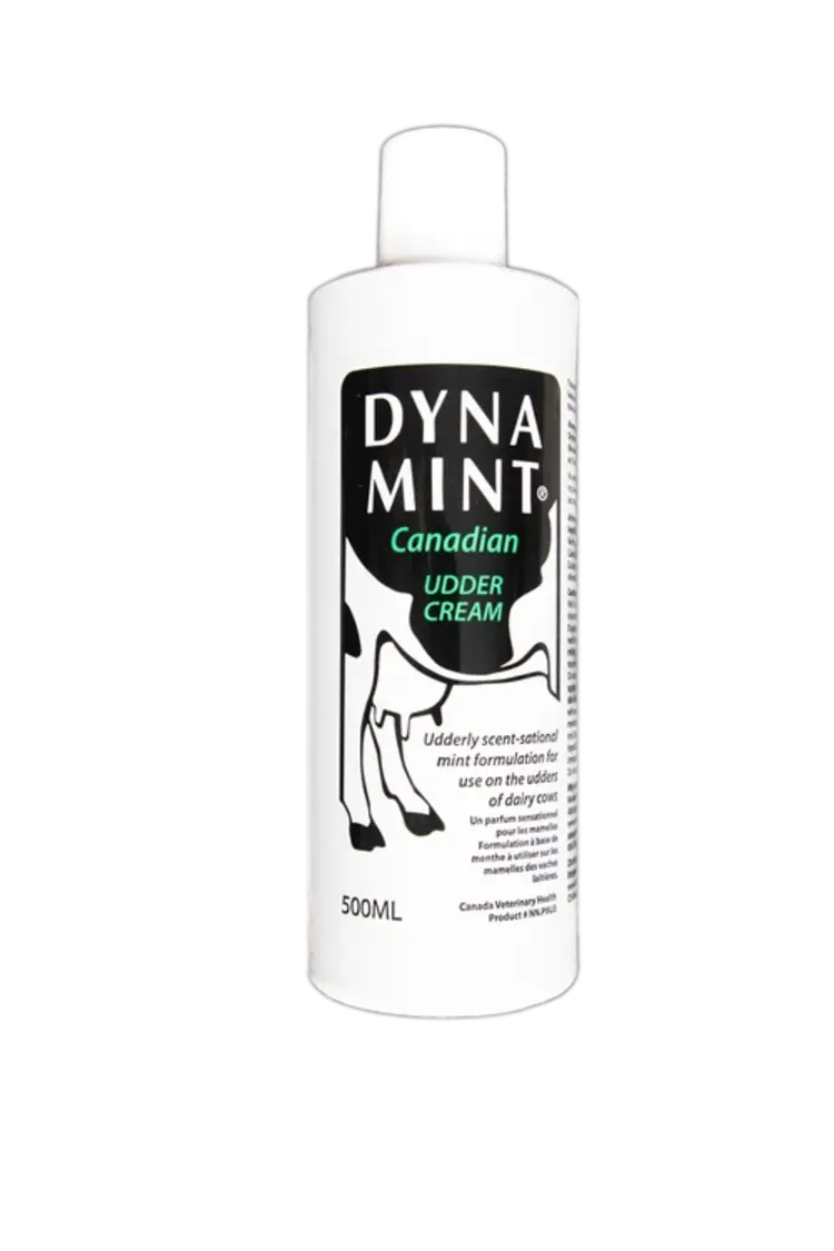 Dynamint Udder Cream - White