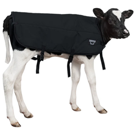 Calf Blanket / Calf Jacket - Large - Black - Double Insulation