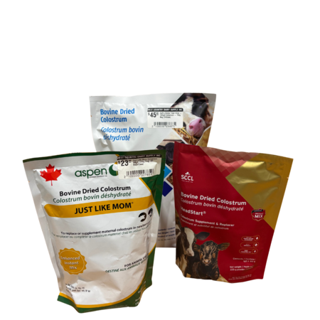 Colostrum Powder