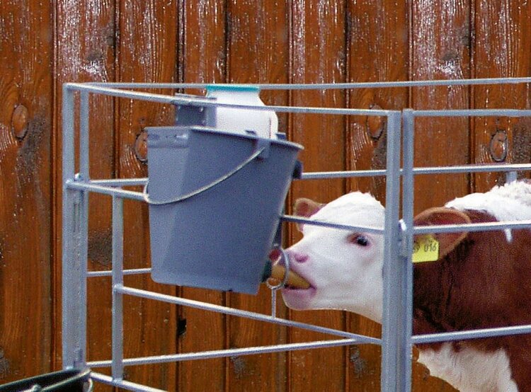Kerbl Calf Feeding Bucket Grey w/Nipple
