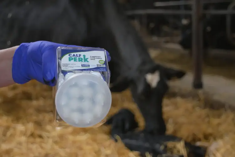 TechMix Calf Perk - 15mL Tube