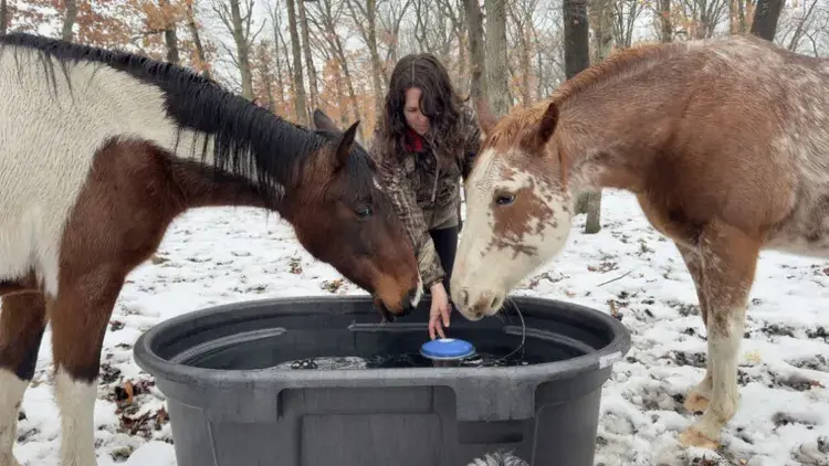 Floating Stock Tank Deicer 1250W