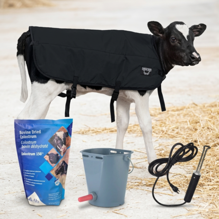 Calf Care