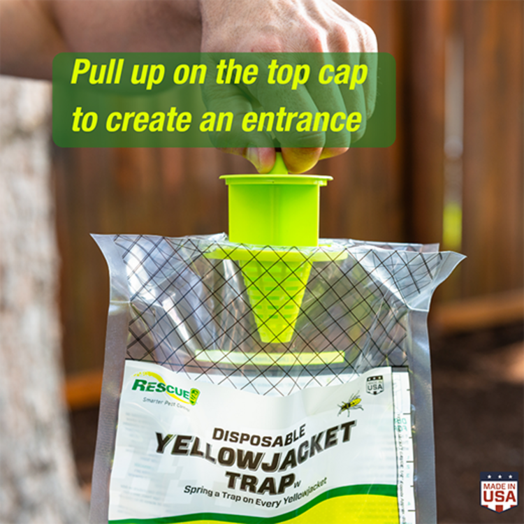 Rescue! Rescue Disposable Yellowjacket Trap