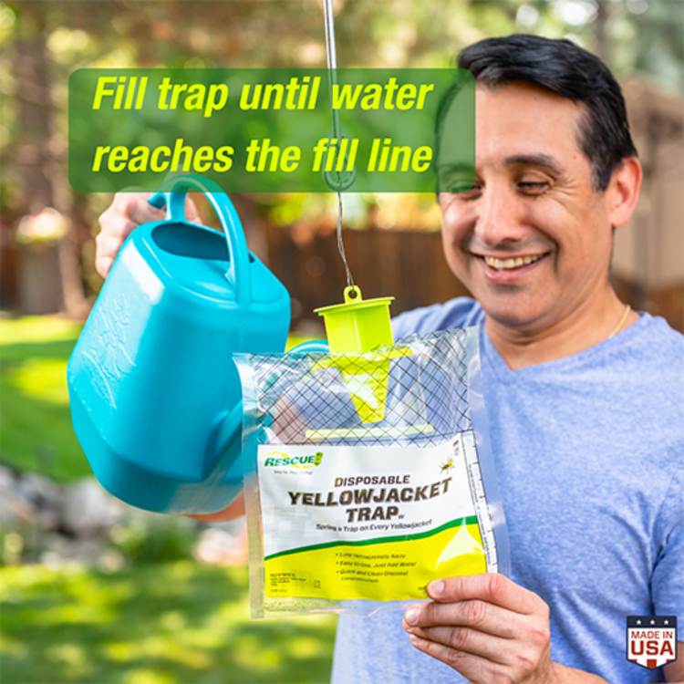 Rescue! Rescue Disposable Yellowjacket Trap