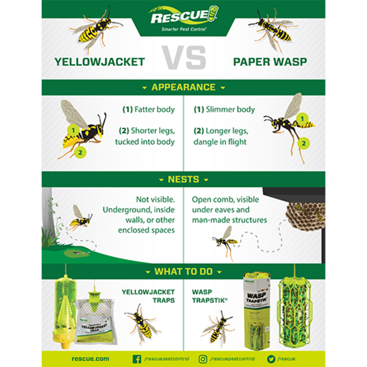 Rescue! Rescue Disposable Yellowjacket Trap