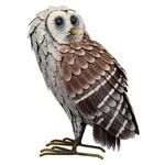 Regal Art & Gift Barn Owl Standing Figure
