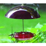 Hummer Dome  Hummingbird Feeder 8 oz