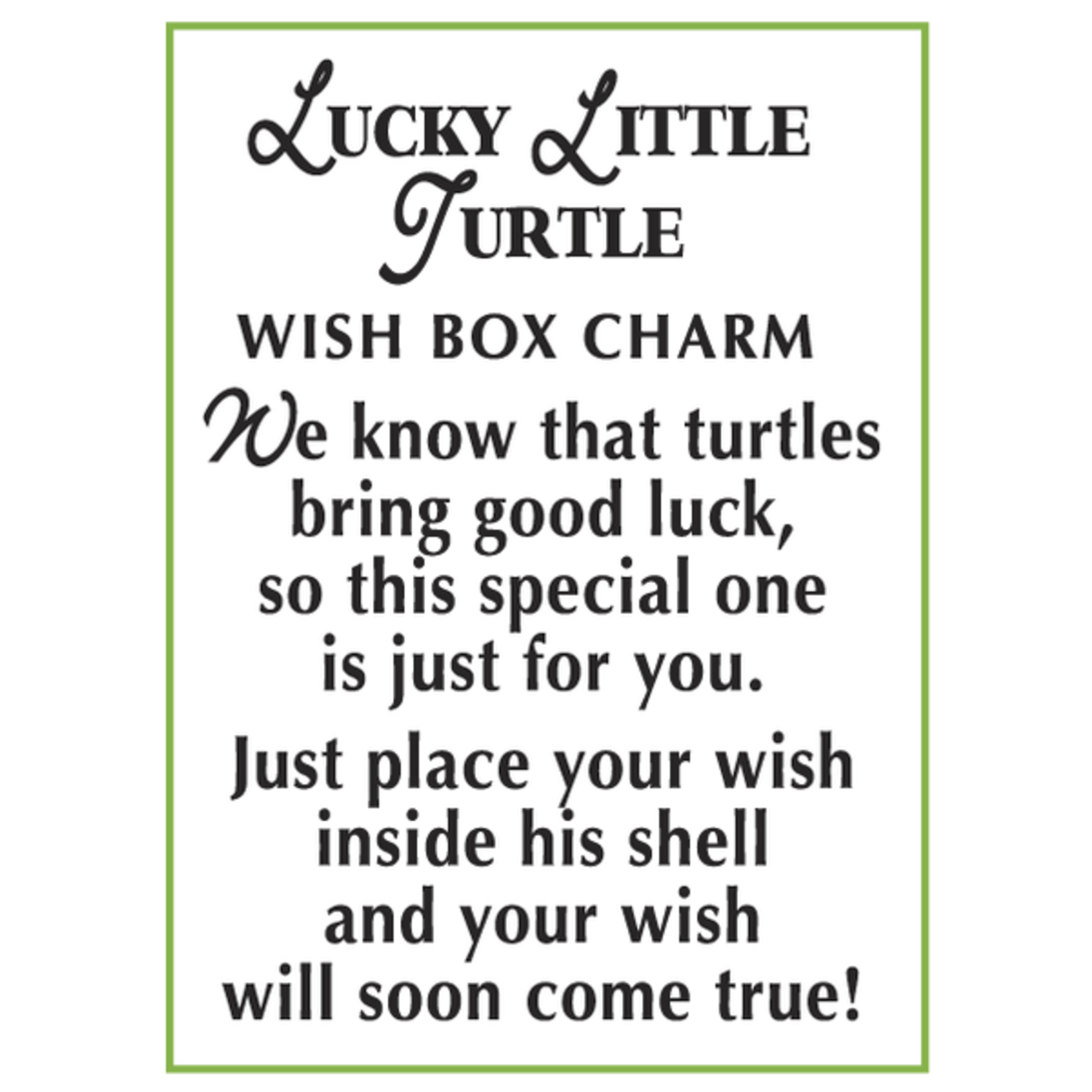 Lucky Little Turtle Box  Pocket Charm