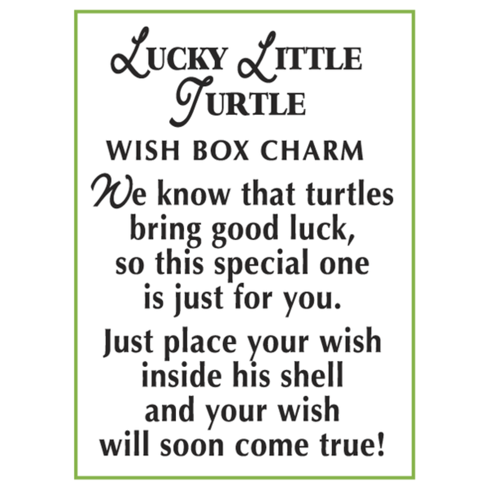 Lucky Little Turtle Box - Pocket Charm