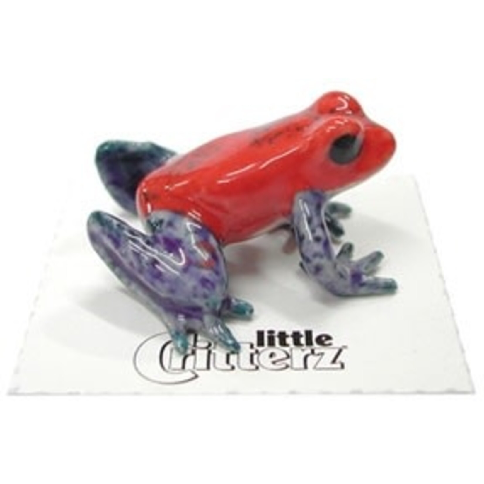 Little Critterz Strawberry Dart Frog (blk pantry)