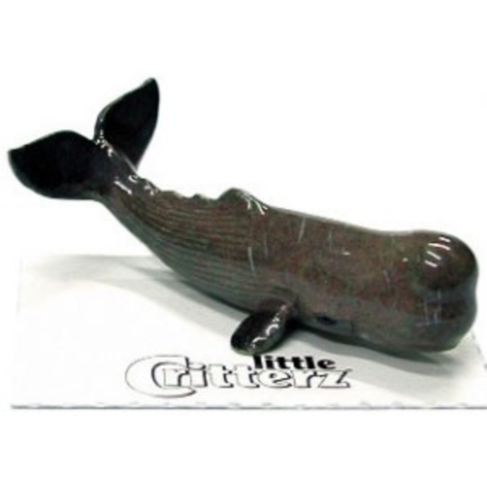 Little Critterz "Moby" Sperm Whale