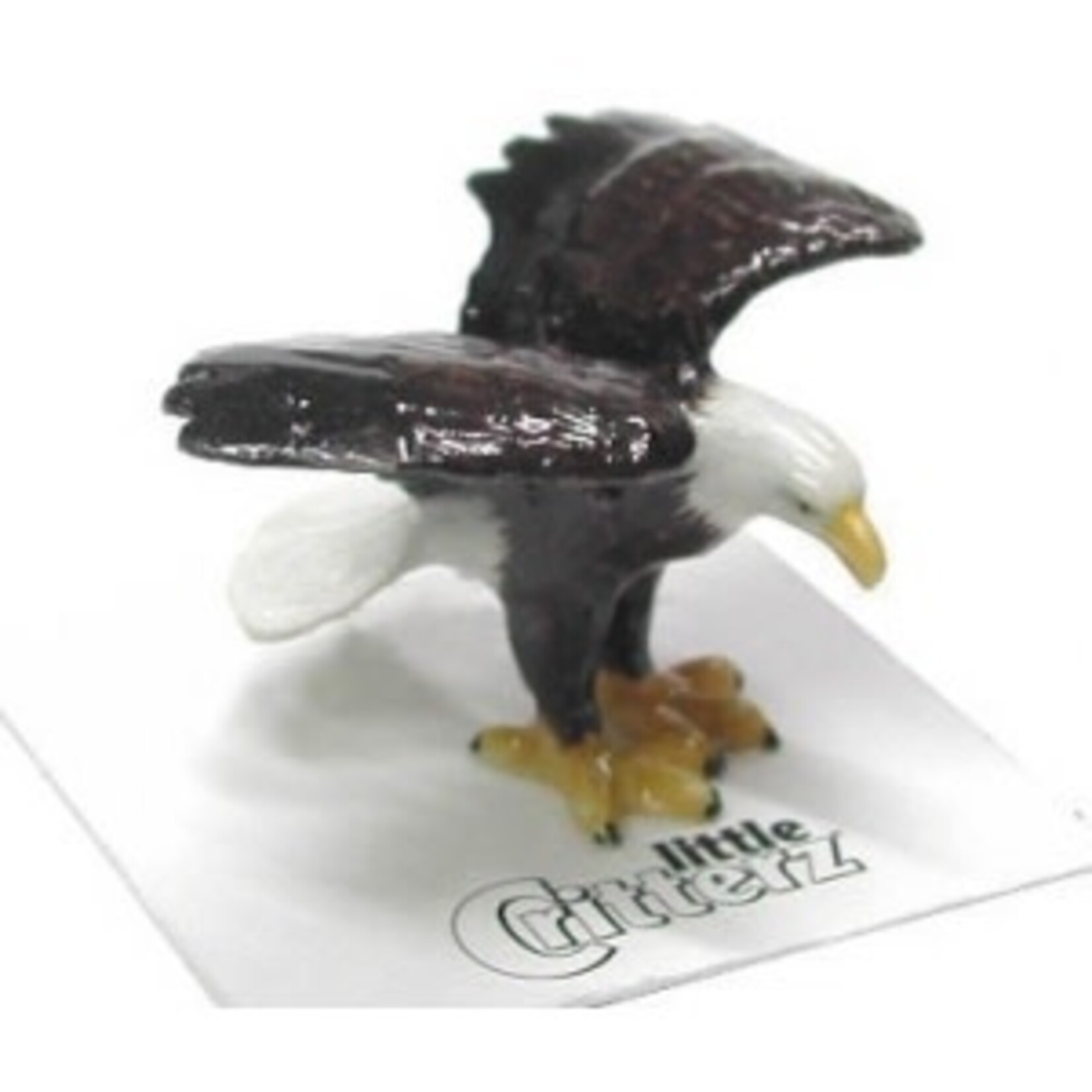 Little Critterz Ari Bald Eagle ( blk pantry )