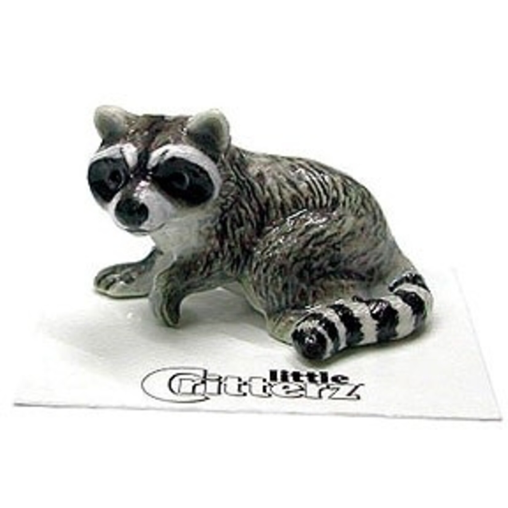 Little Critterz Bandit Raccoon (blk pantry)