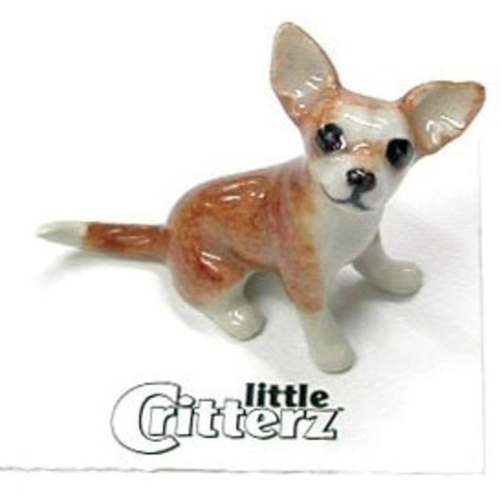 Little Critterz Rascal Chihuahua (  blk pantry )