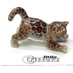 Little Critterz Simba Bengal