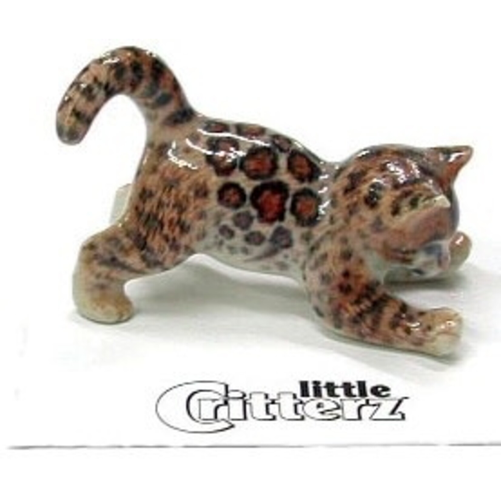 Little Critterz Simba Bengal