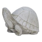Campania Box Turtle Figure
