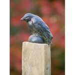 Campania Small Raven  Statue