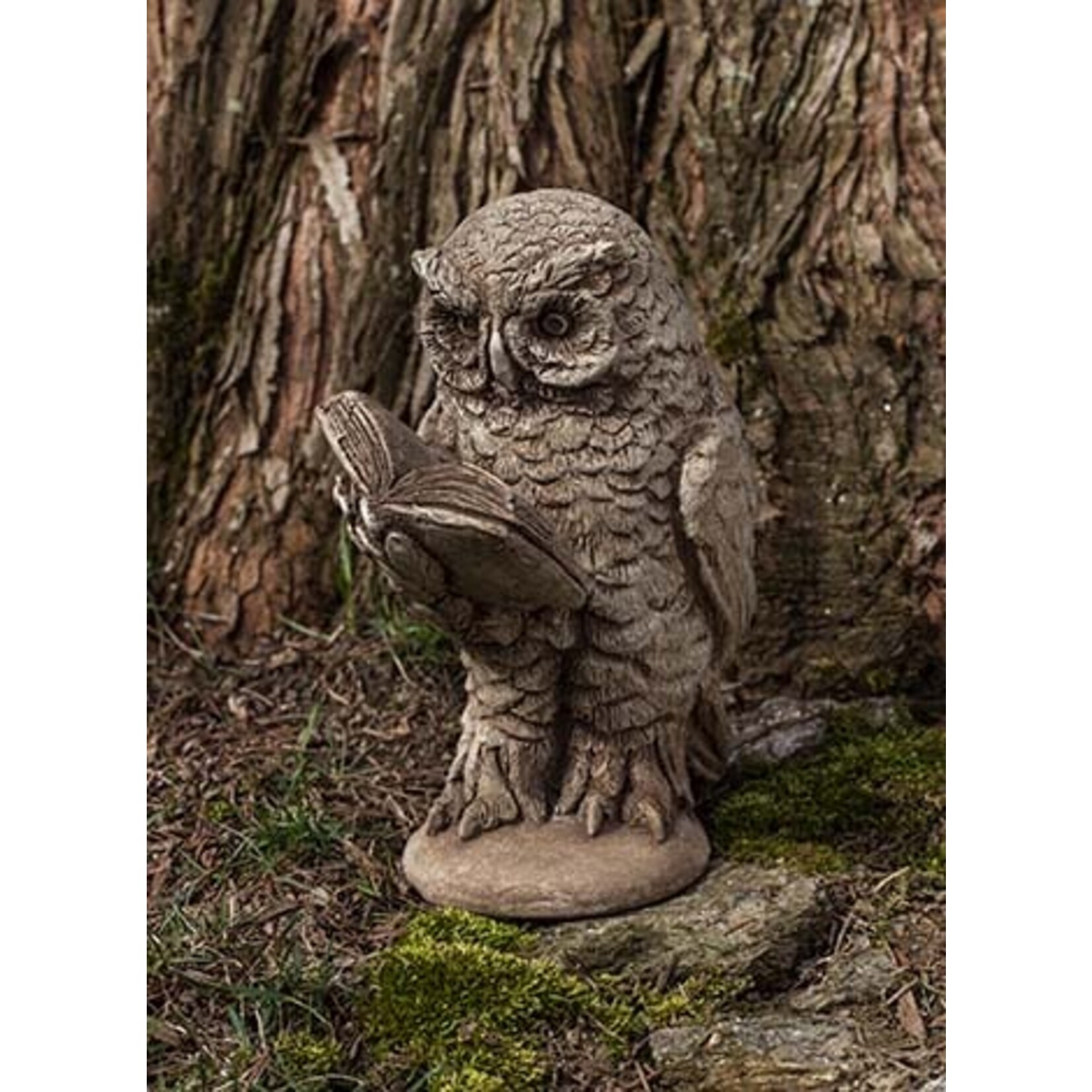 Campania Scholarly Owl  Statue