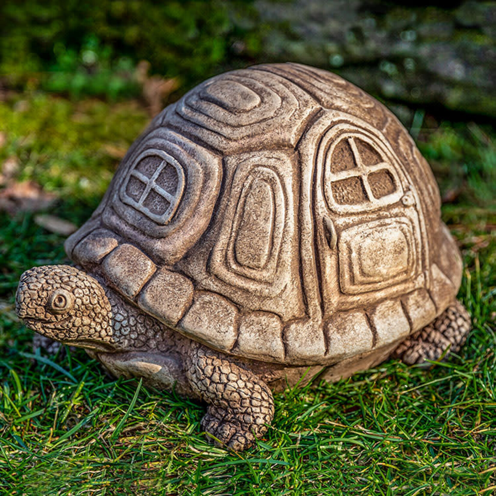 Campania Traveling Turtle